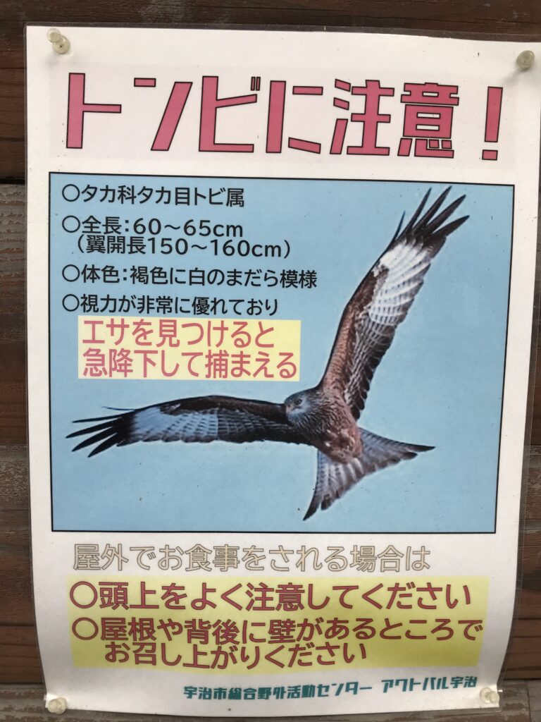 トンビに注意