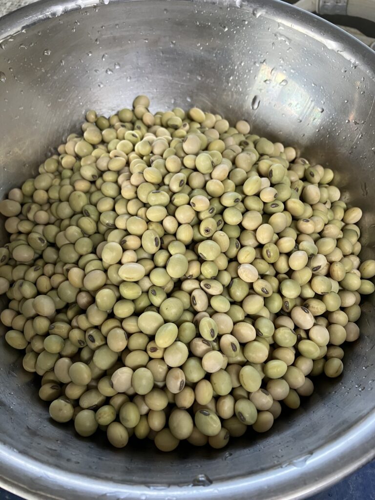 乾燥した大豆
