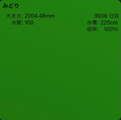 mami023-Husband's-marimo-is-2m